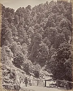 Shimla. View North of Mount Jakko by Samuel Bourne (British, 1834–1912)
