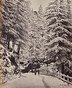 Shimla. View on the Mall in Winter by Samuel Bourne (British, 1834–1912)