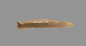 Sickle Blade by Unknown Artist