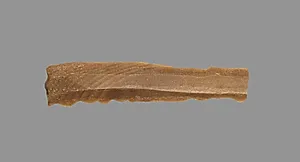 Sickle Blade by Unknown Artist