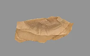 Sickle Blade by Unknown Artist