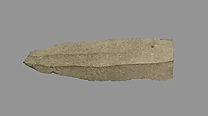 Sickle Blade by Unknown Artist