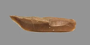 Sickle Blade by Unknown Artist