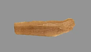 Sickle Blade by Unknown Artist