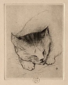 Six Etchings: Head of a Kitten by Paul Gachet (French, 1828–1909)