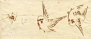 Sketch Page with Birds and Spider by Katsushika Hokusai (Japanese, 1760–1849)