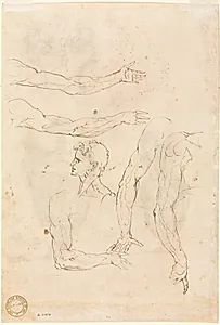 Sketches of Five Arms and a Head (verso) by Luzio Romano (Italian, active 1528–75)