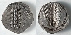 Stater: Barley (obverse); Barley, Incuse (reverse) by Unknown Artist