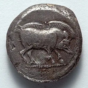 Stater: Boar (obverse) by Unknown Artist