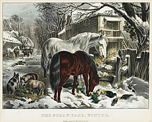 Straw-yard, Winter