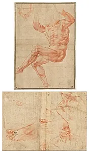 Study for the Nude Youth over the Prophet Daniel (recto); Figure Studies for the Sistine Ceiling (verso) by Michelangelo Buonarroti (Italian, 1475–1564)