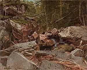Study, North Conway, New Hampshire by David Johnson (American, 1827–1908)