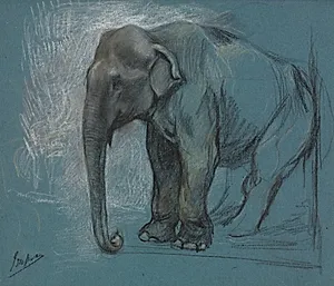 Study of an Elephant by John Macallan Swan (British, 1847–1910)