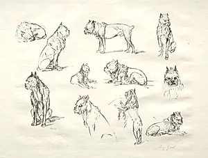 Study of Dogs by August Gaul (German, 1869–1921)