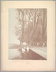 Suite de Paysages: Landscape, Plate 6, Remarque, Lilies by Charles Marie Dulac (French, 1865–1898)