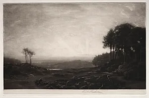 Sunrise in the Clearing
