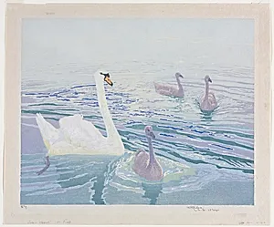 Swans and Cygnets by William Giles (British, 1872–1939)