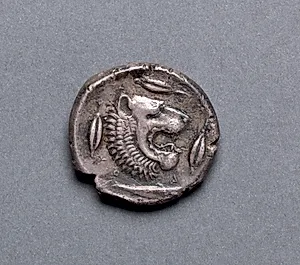 Tetradrachm: Head of Lion, Barley, Riverfish (reverse) by Unknown Artist