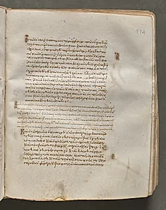 Text, folio 204 (recto), from a Gospel Book with Commentaries by Unknown Artist