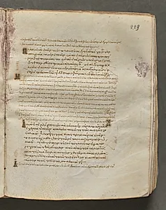 Text, folio 229 (recto), from a Gospel Book with Commentaries by Unknown Artist