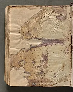 Text, folio 427 (verso), from a Gospel Book with Commentaries by Unknown Artist