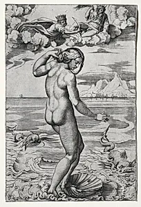 The Birth of Venus  by Marco Dente (Italian, c. 1486–1527)