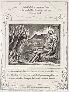 The Book of Job:  Pl. 7, And when they had lifted up their eyes