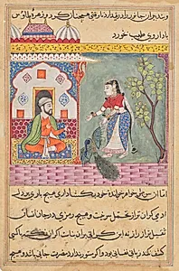 The Brahman’s wife who killed a peacock and ate its gallbladder on the physician’s advice, from a Tuti-nama (Tales of a Parrot): Nineteenth Night by Unknown Artist