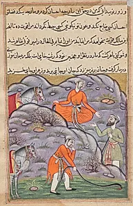 The emir slays the snake after giving it shelter, from a Tuti-nama (Tales of a Parrot): Forty-fifth Night by Unknown Artist