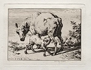 The Ewe with Two Lambs by Charles Meryon (French, 1821–1868)