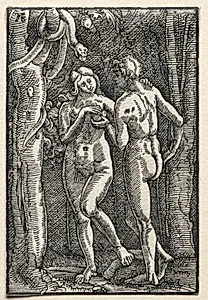 The Fall and Redemption of Man:  Adam and Eve Eating the Forbidden Fruit by Albrecht Altdorfer (German, c. 1480–1538)