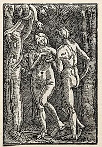 The Fall and Redemption of Man by Albrecht Altdorfer (German, c. 1480–1538)
