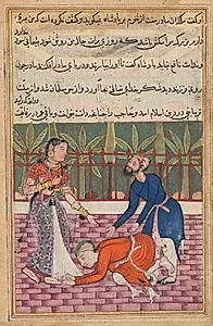 The guard restores the son who falls at his mother’s feet, from a Tuti-nama (Tales of a Parrot): Fiftieth Night by Unknown Artist