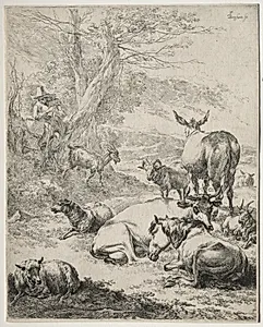 The Herd at Rest