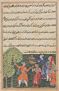 The king plucks fruit from the Tree of Life with his own hands and feeds it to a lady, from a Tuti-nama (Tales of a Parrot): Ninth Night by Suraju (Indian)