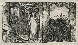 The Lady and the Rooks