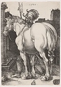 The Large Horse by Albrecht Dürer (German, 1471–1528)