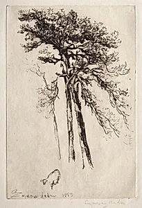 The Latest Tree by Francis Seymour Haden (British, 1818–1910)