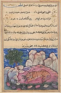 The lion disturbed by mice who eat the food trapped in his aging teeth, from a Tuti-nama (Tales of a Parrot): Fifteenth Night by Unknown Artist