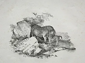 The Mare and Her Foal