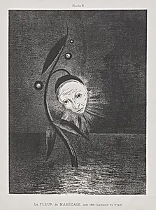 The Marsh Flower, a Sad Human Head by Odilon Redon (French, 1840–1916)