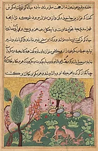The monkey, serving as the lion’s chamberlain, converses with the lynx and its mate who have arrived with their cubs to settle in the lion’s domain, from a Tuti-nama (Tales of a Parrot): Twenty-ninth Night by Unknown Artist