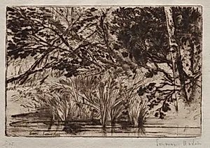 The Mouth of a Brook (Second Plate) by Francis Seymour Haden (British, 1818–1910)
