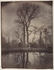 The Park at Sceaux [April 1925, 7a.m.] by Eugène Atget (French, 1857–1927)