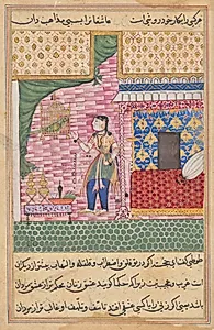 The Parrot Addresses Khujasta at the Beginning of the Seventeenth Night, from a Tuti-nama (Tales of a Parrot) by Sravana (Indian)