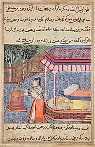 The parrot addresses Khujasta at the beginning of the thirty-sixth night, from a Tuti-nama (Tales of a Parrot) by Unknown Artist