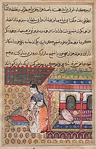The parrot addresses Khujasta at the beginning of the thirty-eighth night, from a Tuti-nama (Tales of a Parrot) by Unknown Artist