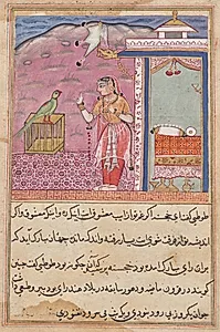 The parrot addresses Khujasta at the beginning of the forty-fourth night, from a Tuti-nama (Tales of a Parrot) by Unknown Artist