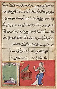 The parrot addresses Khujasta at the beginning of the forty-seventh night, from a Tuti-nama (Tales of a Parrot): Forty-seventh Night by Unknown Artist