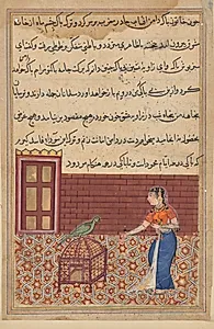 The parrot addresses Khujasta at the beginning of the fifty-first night, from a Tuti-nama (Tales of a Parrot): Fifty-first Night by Unknown Artist